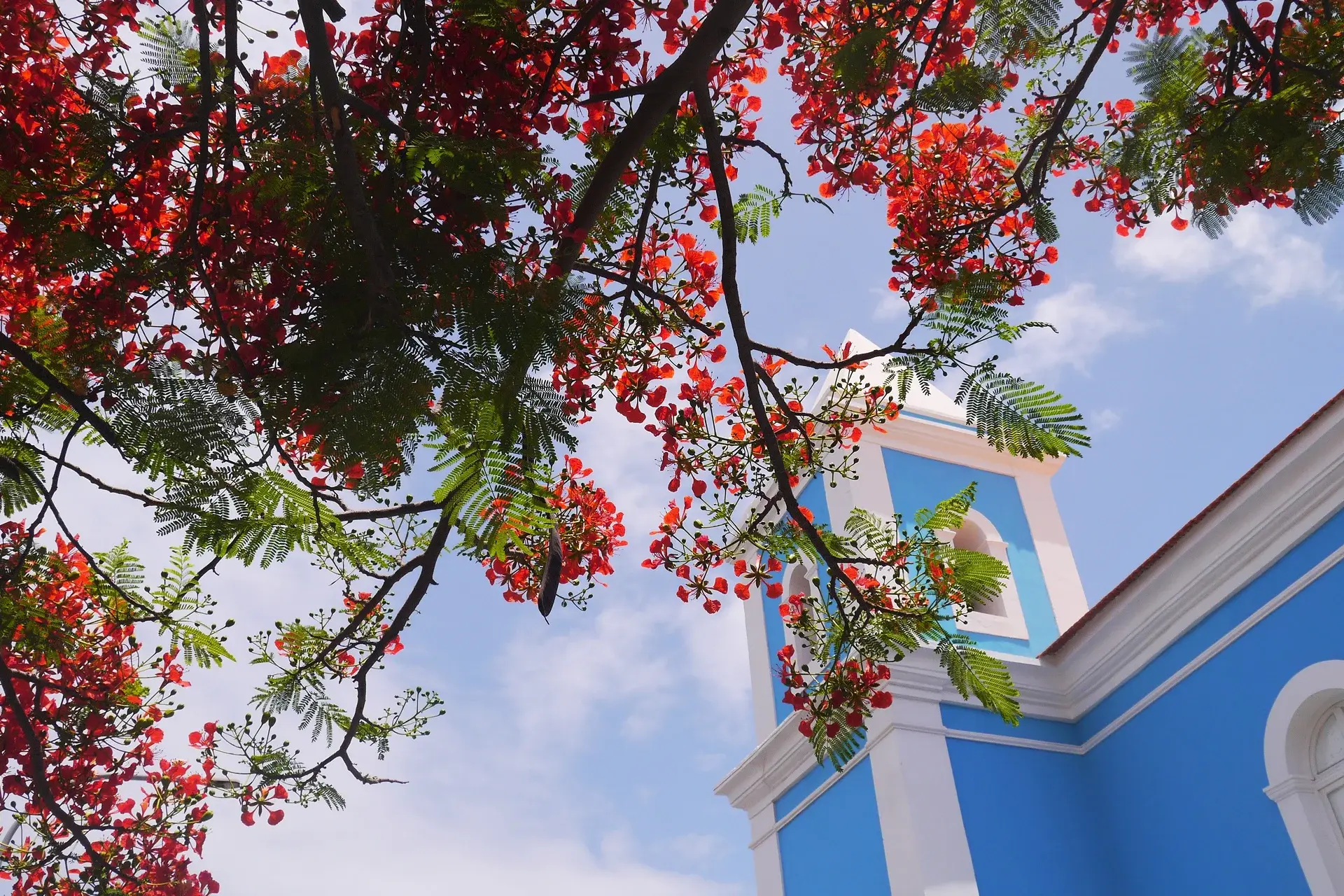 View Cape Verde State Explorer