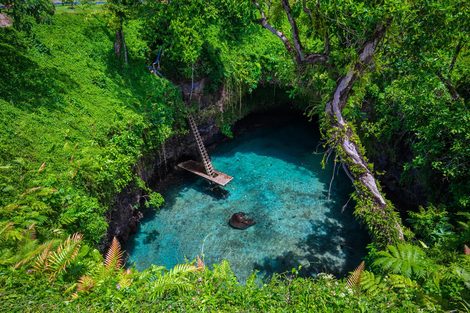 View Samoa State Explorer